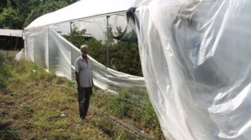 Kadirli'de Fırtına Domates Seralarını Kullanılamaz Hale Getirdi