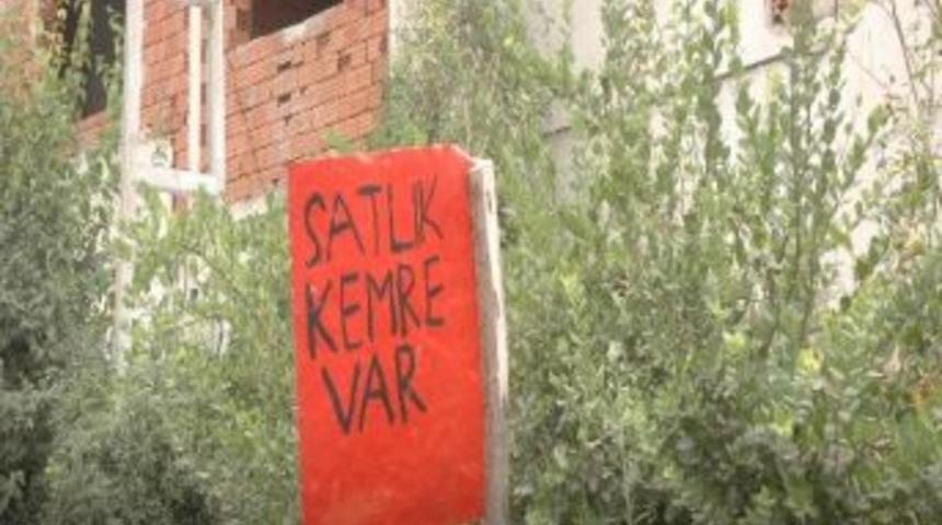 Trabzon'dan İlgin&ccedil; İlan