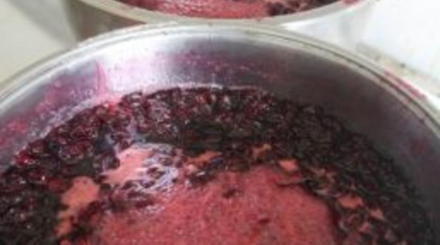 Akev Re&ccedil;el &Uuml;retimine Başladı