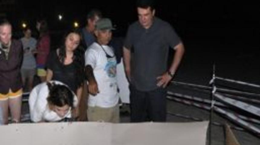 Chp Aydın Milletvekili Baydar Carettaların Yumurta N&ouml;betini Tuttu