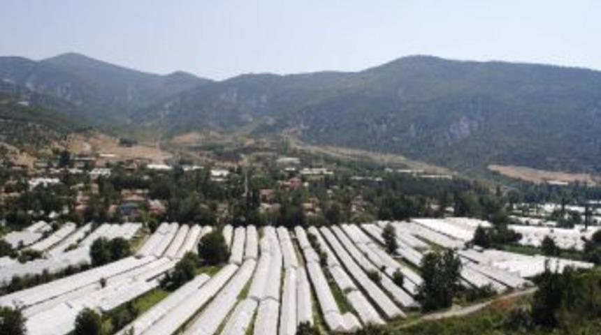 Amasya&rsquo;da 2 Bin 300 Dekar Alanda Seracılık Yapılıyor