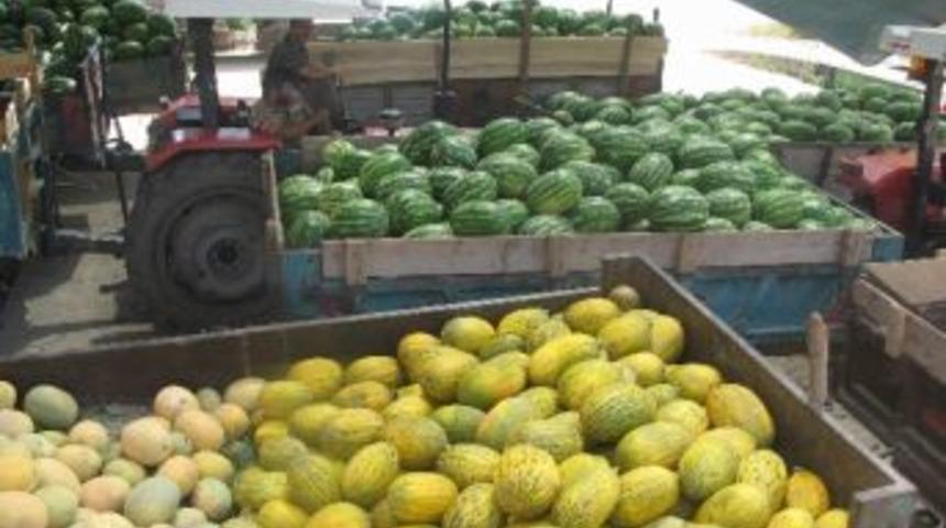 Karpuzun Fiyatı D&uuml;şt&uuml;, Tane İle Satılmaya Başladı