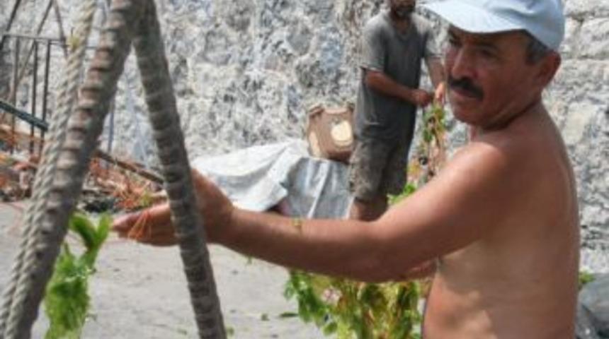 Balık&ccedil;ılar Kalkan Yerine Yosun Avladı