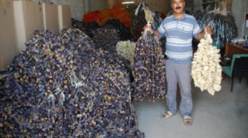 Kurutmalık Zamanı Başladı