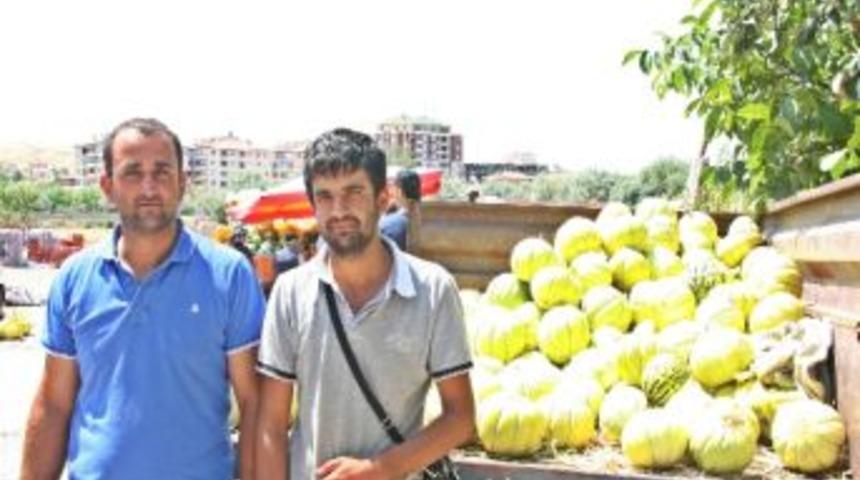 Sungurlu&rsquo;da Kavun Sezonu A&ccedil;ıldı