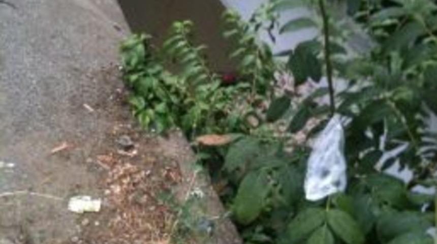 Boyabat'da Şiddetli Yağış