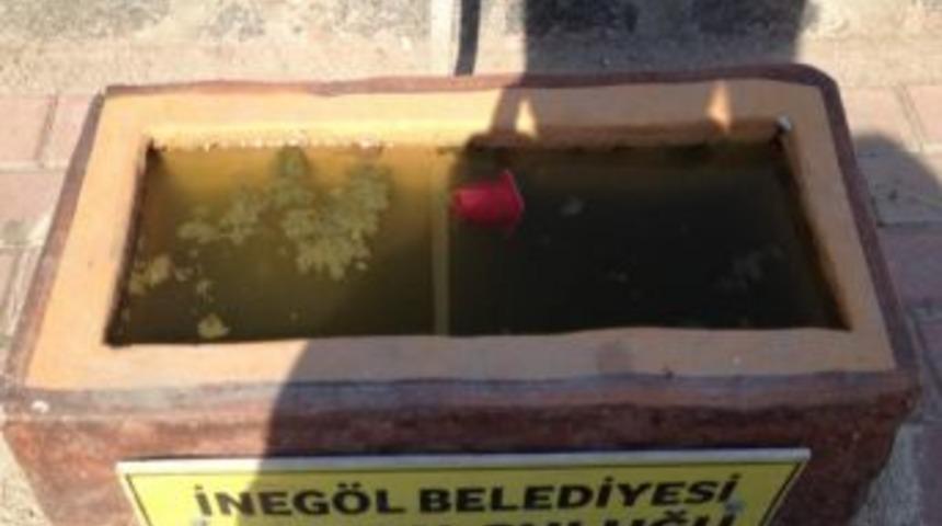 Hayvanların Su Kapları &Ccedil;&ouml;pl&uuml;k Oldu