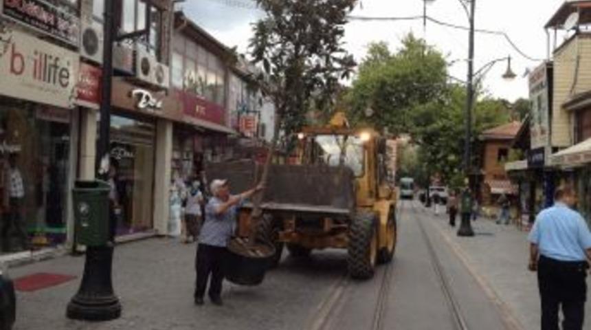 Cumhuriyet Caddesi Yeni Ağa&ccedil;larla Daha Da G&uuml;zelleşiyor