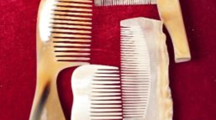 Kemik Taraklar Şifa Dağıtıyor