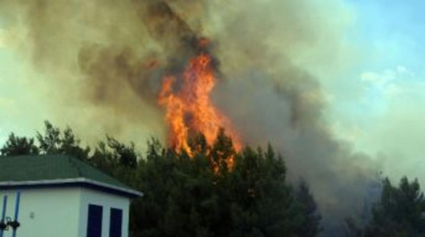 Antalya'da Orman Yangını