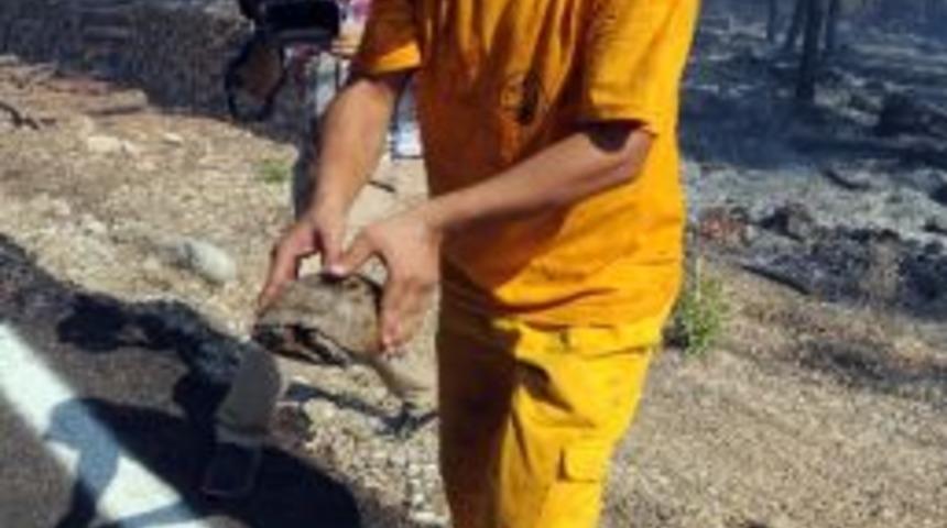 Antalya'da Orman Yangını