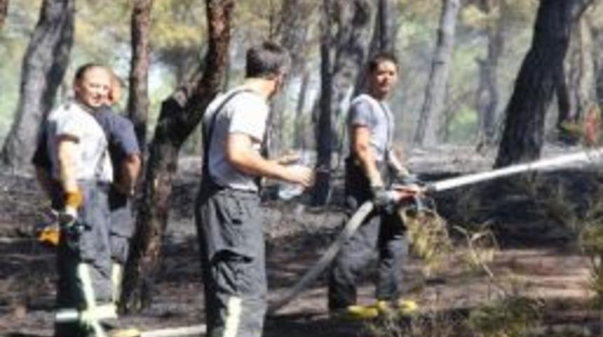 3 Hektarlık Alan K&uuml;l Yığınına D&ouml;nd&uuml;