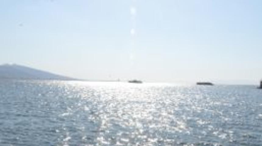 Denizanaları K&ouml;rfez'de