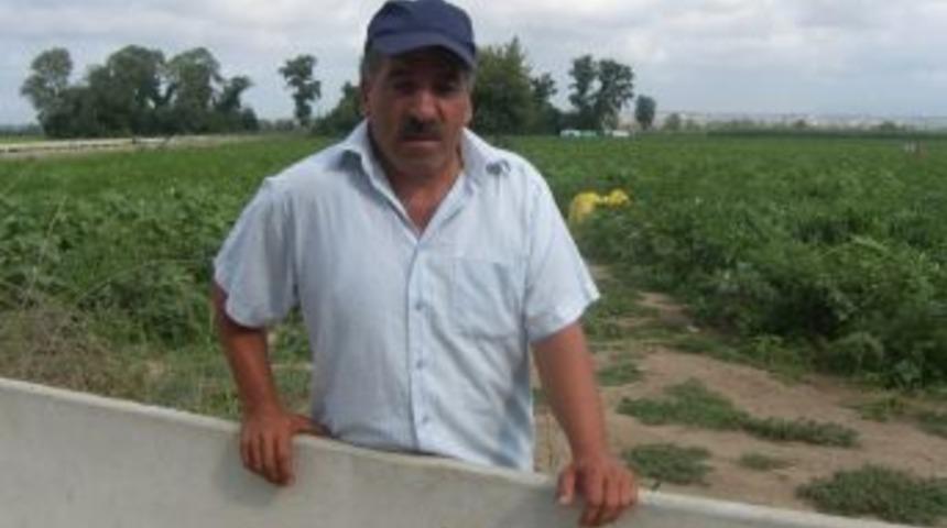 Urfalı Tarım İş&ccedil;ilerinin Hayat M&uuml;cadelesi