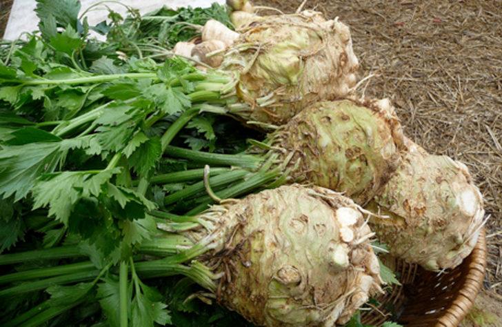  En doğal ila&ccedil;: Kereviz Her Derde Deva!