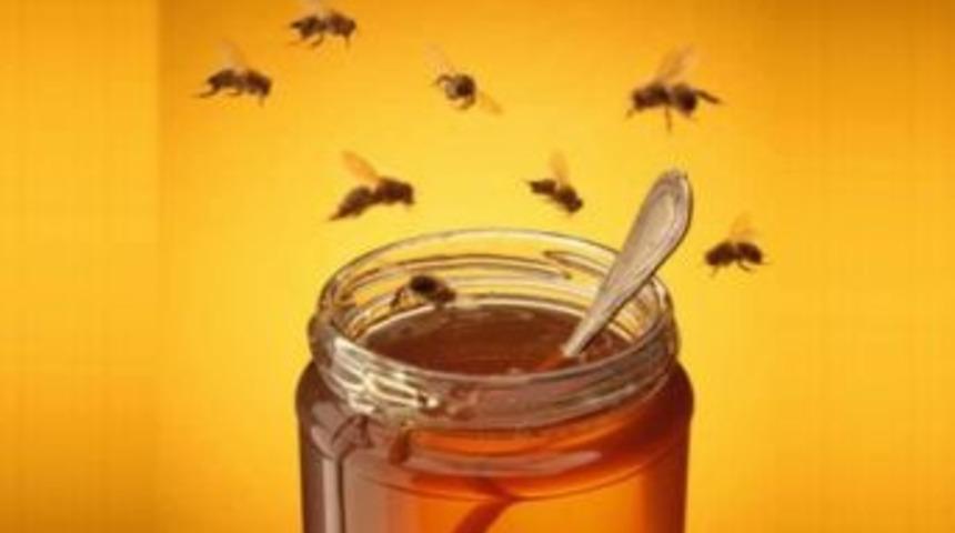 Yeni Bal Tebliği Y&uuml;r&uuml;rl&uuml;ğe Girdi