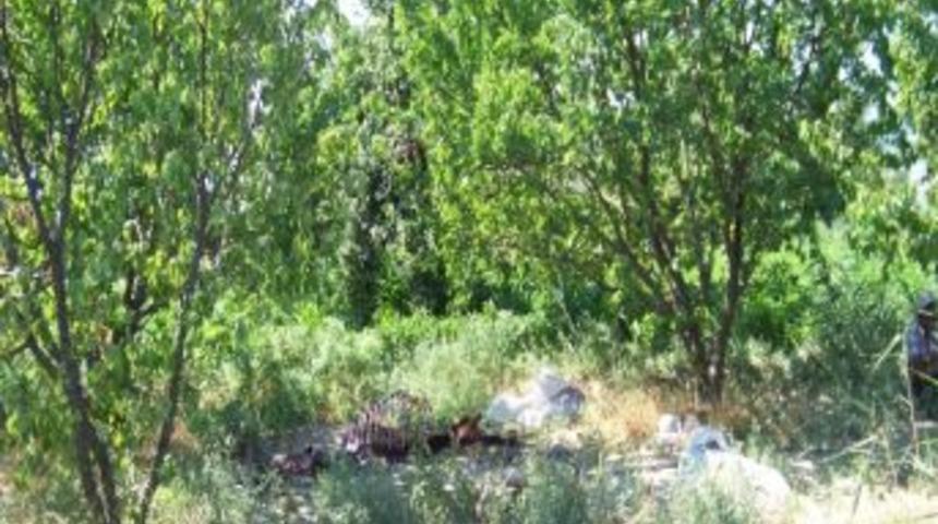 Mut&rsquo;ta At Eti Yakalandı