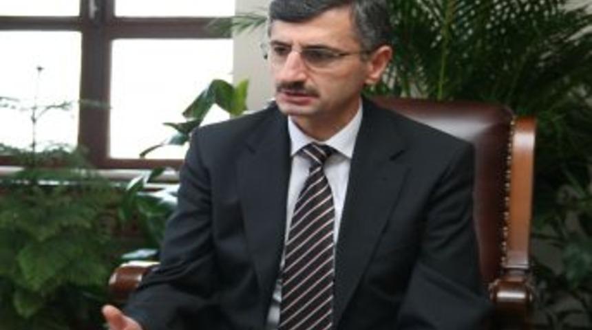 Kastamonu'da Başı Boş Dolaşan K&ouml;pekler Tedirgin Ediyor