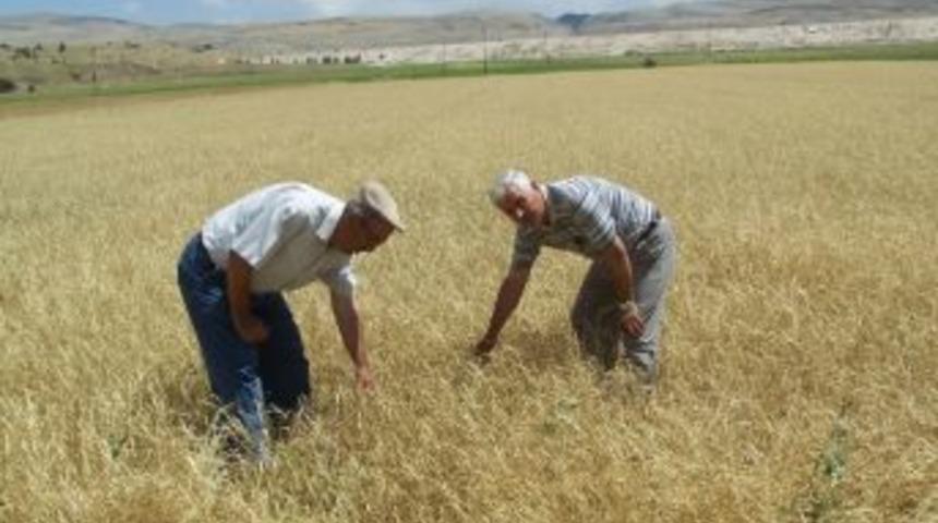 Hasar Tespit &Ccedil;alışmaları Başladı
