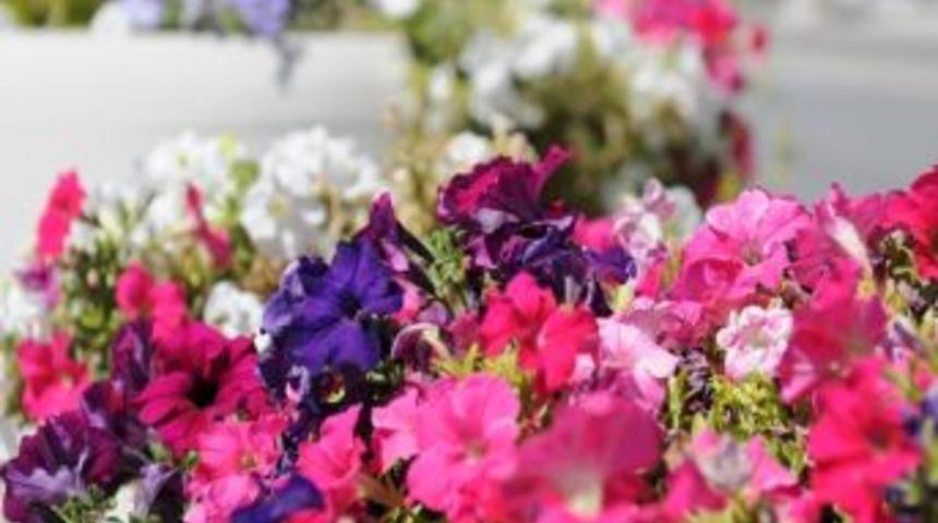 Mamaklılar Ramazan Akşamlarının Keyfini Parklarda &Ccedil;ıkarıyor