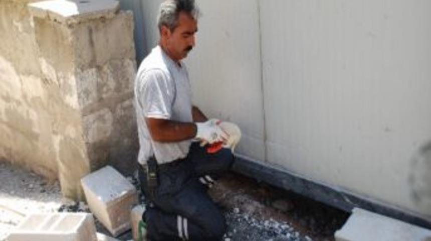 Sokak K&ouml;peği K&ouml;şe Kapmaca Oynattı