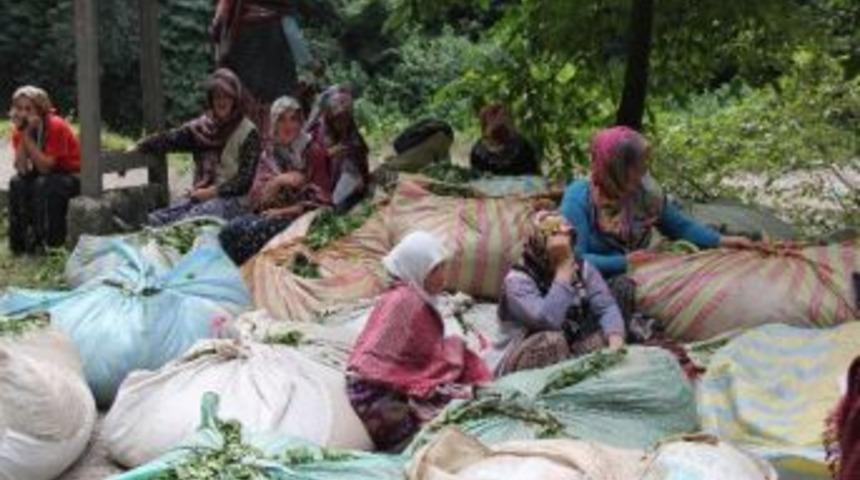 Yaş &Ccedil;ay Alımları&hellip;