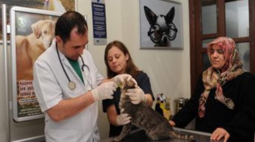 Bu Hastane Sokak Hayvanlarına İla&ccedil; Oluyor