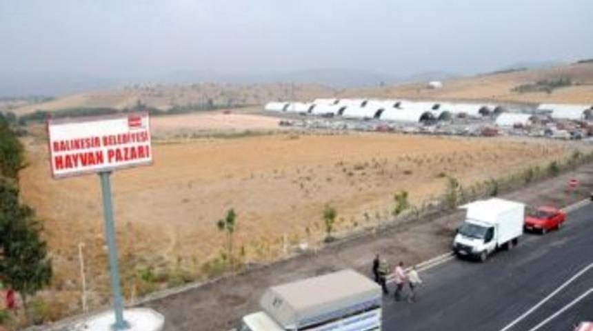 Balıkesir'de Şap Karantinası Kalktı Hayvan Pazarı A&ccedil;ıldı