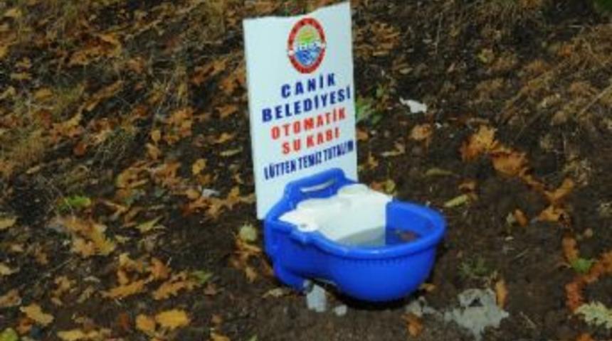 Canik Hayvanları Koruyor