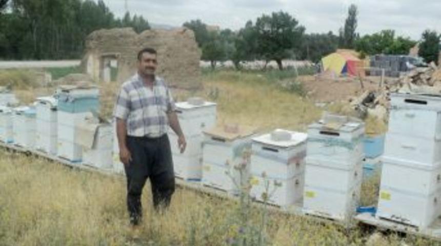 Yozgat&rsquo;ta Bal &Uuml;retimi Yaygınlaşıyor