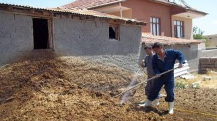 (&ouml;zel Haber) Yahşihan&rsquo;ı Sinekler Bastı
