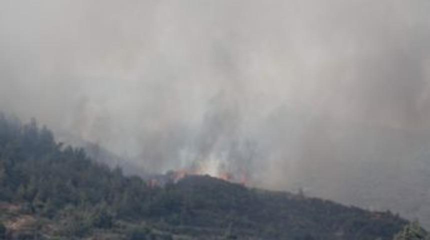 Hatay&rsquo;da Orman Yangını