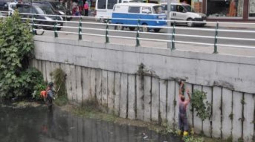 Zonguldak Belediyesi, Dere Temizleme &Ccedil;alışmalarına Devam Ediyor
