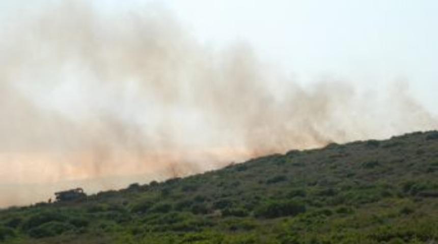 Didim&rsquo;de 35 D&ouml;n&uuml;m Makilik Alan K&uuml;l Oldu