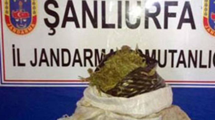 58 kilo esrar ele ge&ccedil;irildi