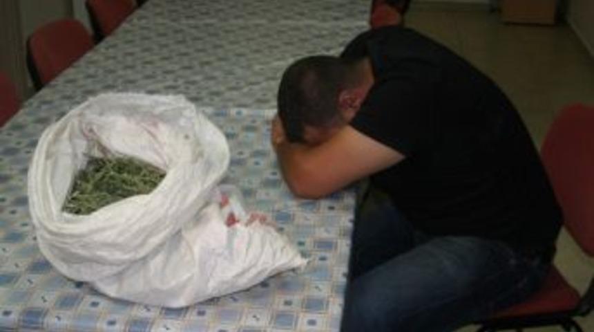 Kiralık Otomobilde Bir Kilo Esrar Bulundu