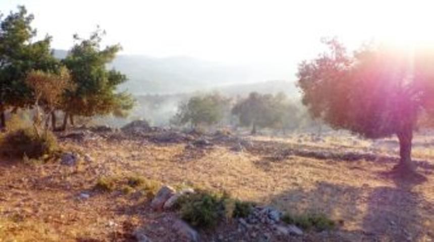 Bodrum&rsquo;da Yangın Konturol Altına Alındı