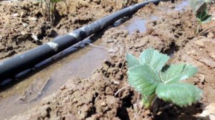 Sulama Yatırımları Destekleniyor