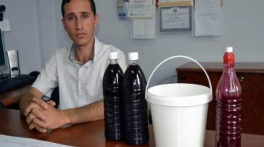 T&uuml;rk Bilim İnsanı Peynir Suyundan Şalgam Ve Ket&ccedil;ap &Uuml;retti