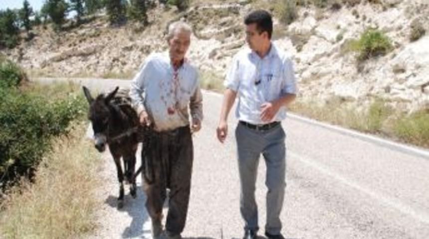 Eşekten D&uuml;şen Yaşlı Adama Sağlık M&uuml;d&uuml;r&uuml; M&uuml;dahale Etti