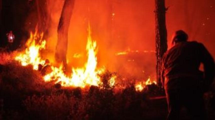 Milas&rsquo;ta 20 D&ouml;n&uuml;m Orman Yandı