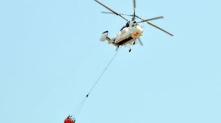 K&ouml;yceğiz&rsquo;de Orman Yangını