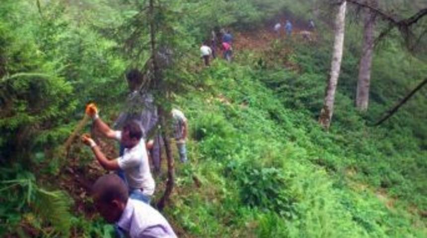 G&uuml;ny&uuml;z&uuml; K&ouml;y&uuml;nde Su Seferberliği