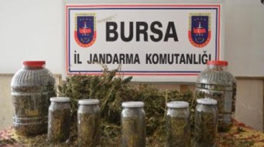 Bursa&rsquo;da 15 Kilo Kubar Esrar Maddesi Ele Ge&ccedil;irildi