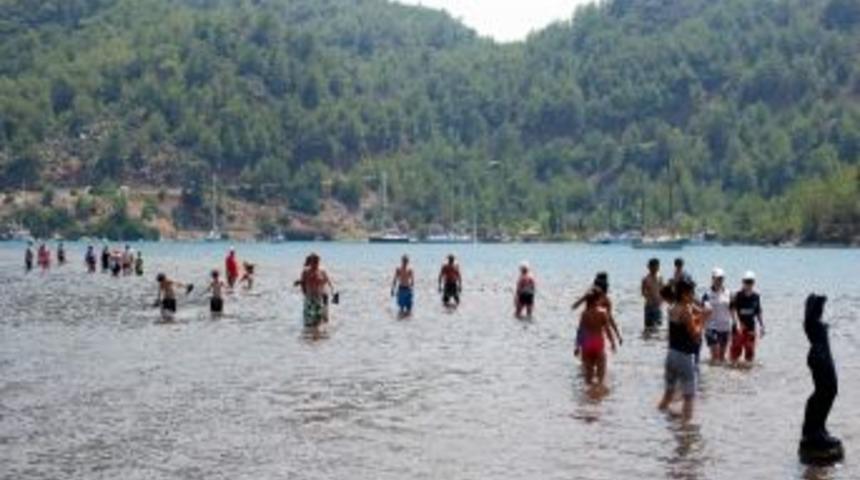 Kızkumu Plajı Tehlike Altında İddiası