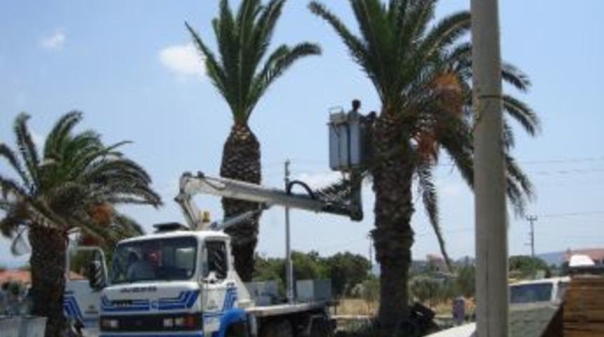 Urla G&uuml;zelleşiyor