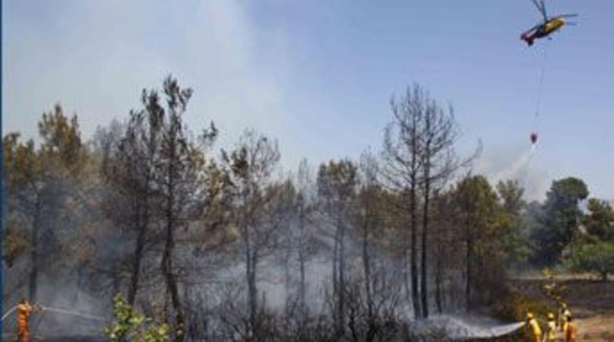 Manavgat'ta korkutan yangın