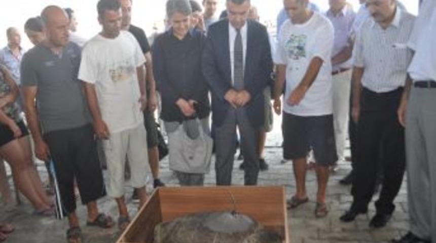 Carettaların G&ouml;&ccedil; Yollarını Akademisyenlere &ldquo;Defne&rdquo; &Ouml;ğretecek