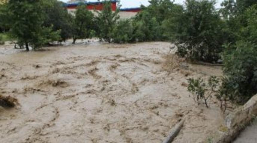 Azgın Sel Suları Ağa&ccedil;ları K&ouml;k&uuml;nden S&ouml;kt&uuml;