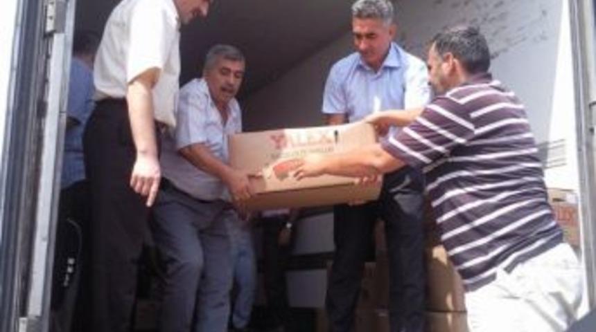 Trabzon&rsquo;da &Ccedil;ilek Yetiştiriciliği 382 Dekarlık Alana Ulaştı